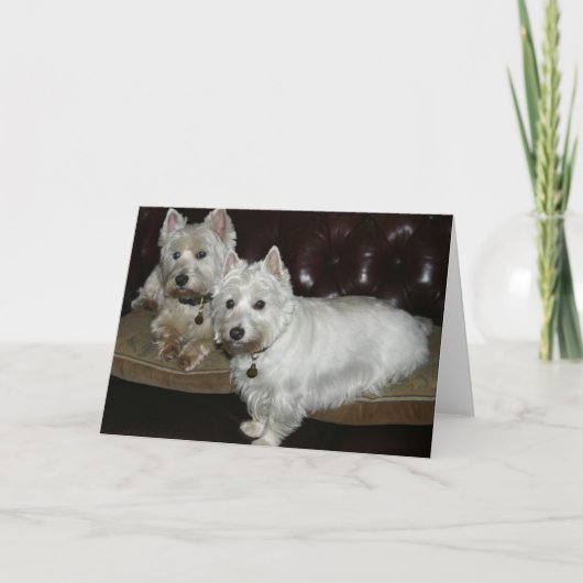 Desi & Lucy Kaart (Voorkant)