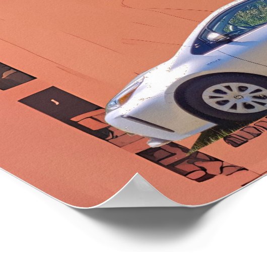 Desiccated Poster (Hoek)