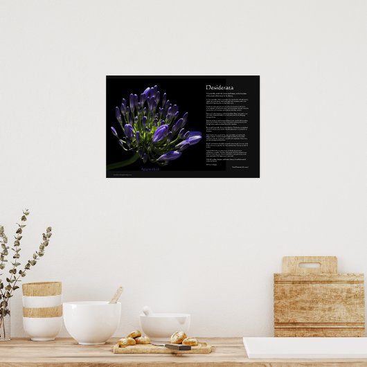 Desiderata - Agapanthus, Afrikaanse Lily Poster (Keuken)
