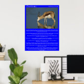 Desiderata Antelope Drink Posters (Thuiskantoor)