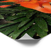 Desiderata Asian lilies Poster (Hoek)