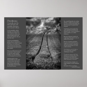 Desiderata - Been en Gone, Fine Art Poster