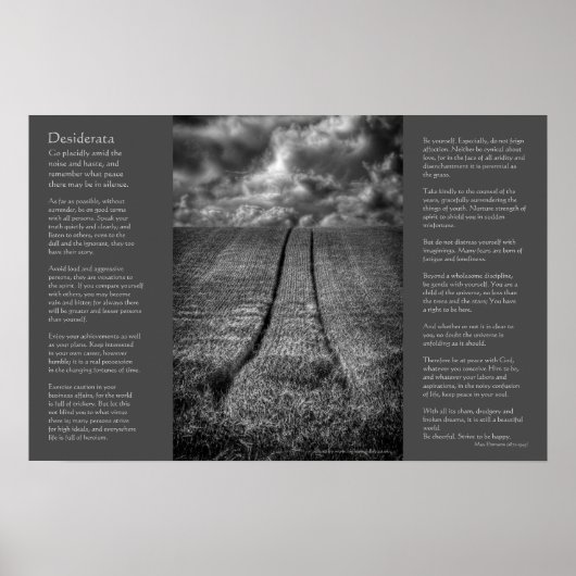 Desiderata - Been en Gone, Fine Art Poster (Voorkant)