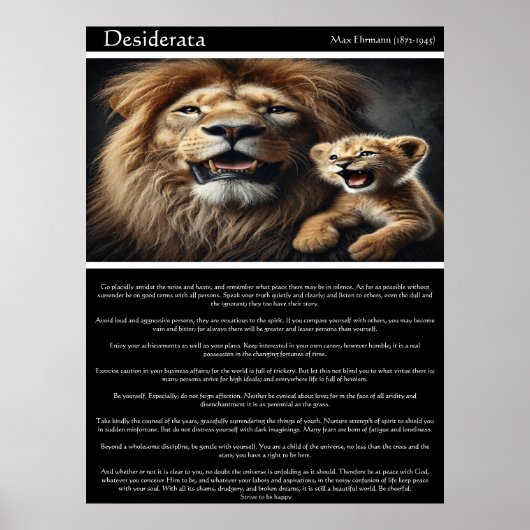 Desiderata: blije echo's poster (Voorkant)