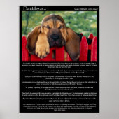 Desiderata Bloodhound Posters (Voorkant)