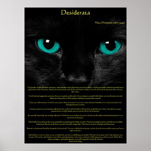 Desiderata Cat Eyes Posters (Voorkant)