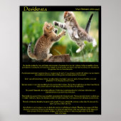 Desiderata Cat Fight Posters (Voorkant)