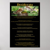Desiderata Cat Fight Posters 1a (Voorkant)