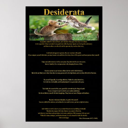 Desiderata Cat Fight Posters 1a (Voorkant)