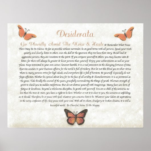 DESIDERATA Cheerful Daisies Poster (Voorkant)