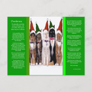 DESIDERATA Christmas Cats Briefkaart