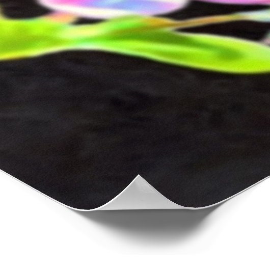 DESIDERATA Cosmic Blossom poster (Hoek)