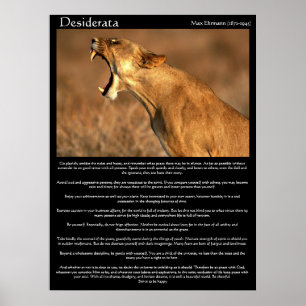 Desiderata cougar toont zijn tanden poster
