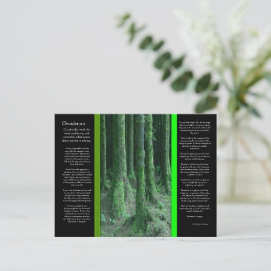 DESIDERATA Dark Mossy Forest Briefkaart (Staand voorkant)