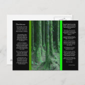 DESIDERATA Dark Mossy Forest Briefkaart (Voorkant / Achterkant)