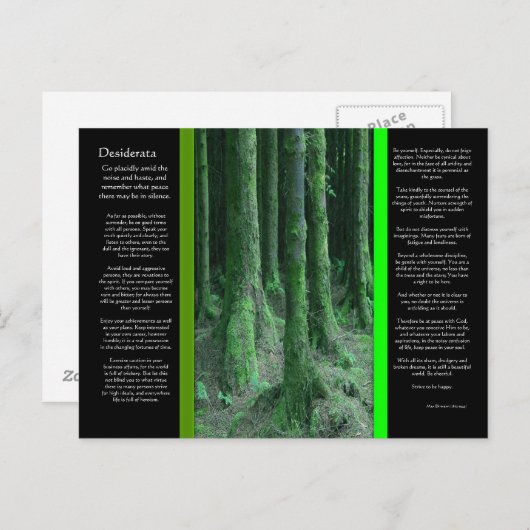DESIDERATA Dark Mossy Forest Briefkaart (Voorkant / Achterkant)