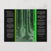 DESIDERATA Dark Mossy Forest Briefkaart (Voorkant)