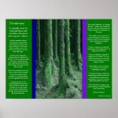 DESIDERATA Dark Mossy Forest Posters (Voorkant)