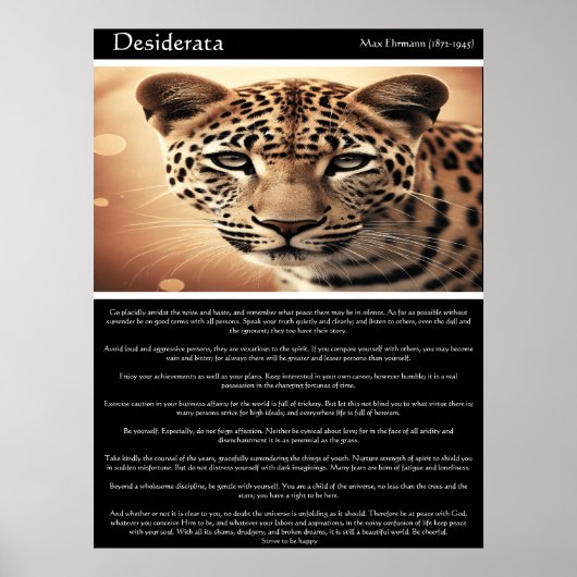 Desiderata: de blik van het wild poster (Voorkant)