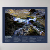Desiderata - De Eager Tide Poster (Voorkant)
