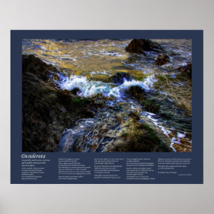 Desiderata - De Eager Tide Poster