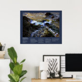 Desiderata - De Eager Tide Poster (Thuiskantoor)