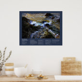 Desiderata - De Eager Tide Poster (Keuken)