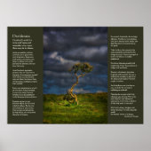 Desiderata - De laatste overlevende Poster (Voorkant)