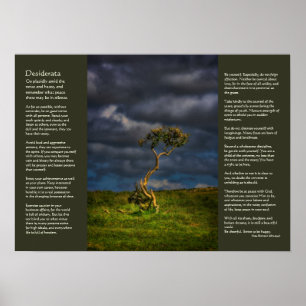 Desiderata - De laatste overlevende Poster