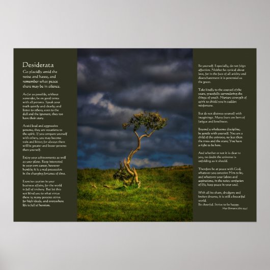 Desiderata - De laatste overlevende Poster (Voorkant)