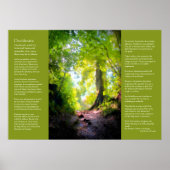 Desiderata - de laatste stijging poster (Voorkant)