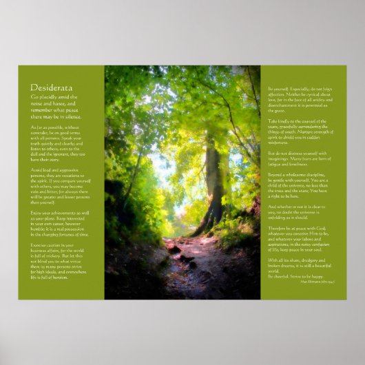 Desiderata - de laatste stijging poster (Voorkant)