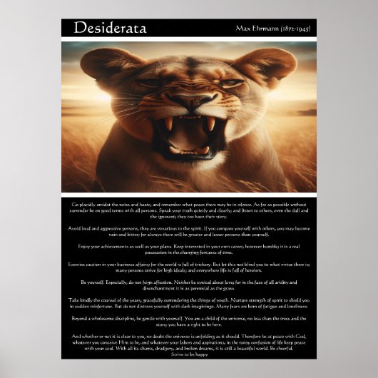 Desiderata: de ongetemde geest poster (Voorkant)