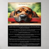 Desiderata: de taal van de rust poster (Voorkant)