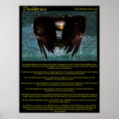 Desiderata Eagle Over Water Posters (Voorkant)