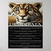 Desiderata: een moment van reflectie poster (Voorkant)