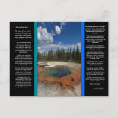 DESIDERATA Emerald Pool Briefkaart (Voorkant)