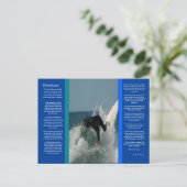 DESIDERATA Face Dive Briefkaart (Staand voorkant)