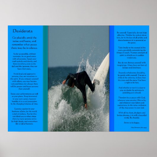 DESIDERATA Face Dive Posters (Voorkant)