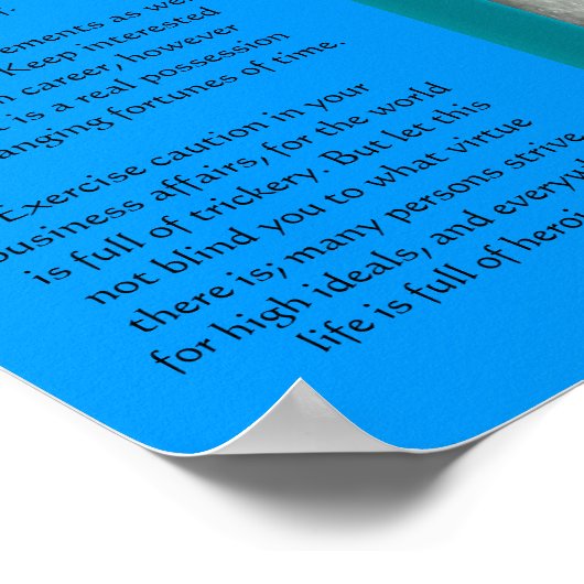 DESIDERATA Face Dive Posters (Hoek)