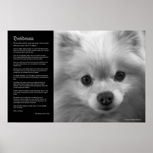 Desiderata - Fine Art Pomeranian Puppy Poster (Voorkant)