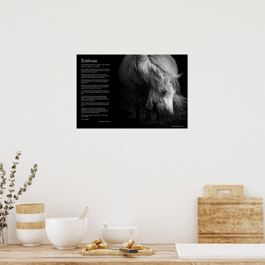 Desiderata - Fine Art Pony Head en Mane Poster (Keuken)