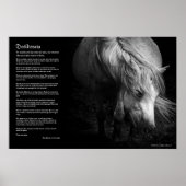Desiderata - Fine Art Pony Head en Mane Poster (Voorkant)
