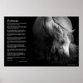 Desiderata - Fine Art Pony Head en Mane Poster
