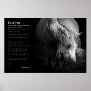 Desiderata - Fine Art Pony Head en Mane Poster