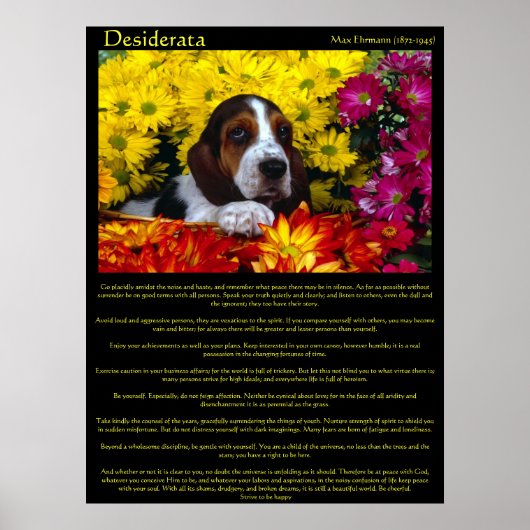 Desiderata Flower Beagle Posters (Voorkant)