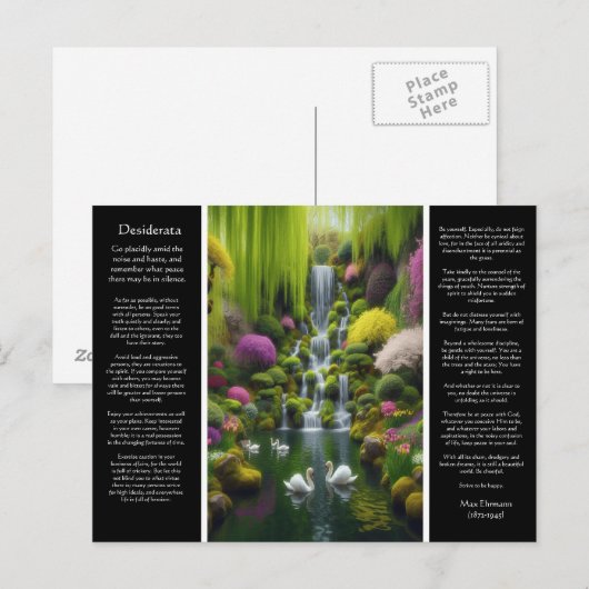 Desiderata fluistert van de lente, bloemblad licht briefkaart (Voorkant / Achterkant)