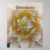 Desiderata Gedicht Roze en Gele Roos Poster (Voorkant)