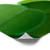 Desiderata "Gewenste dingen" op groene kleppen Poster (Hoek)