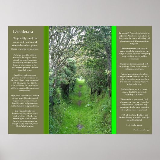 DESIDERATA Grass Road Posters (Voorkant)